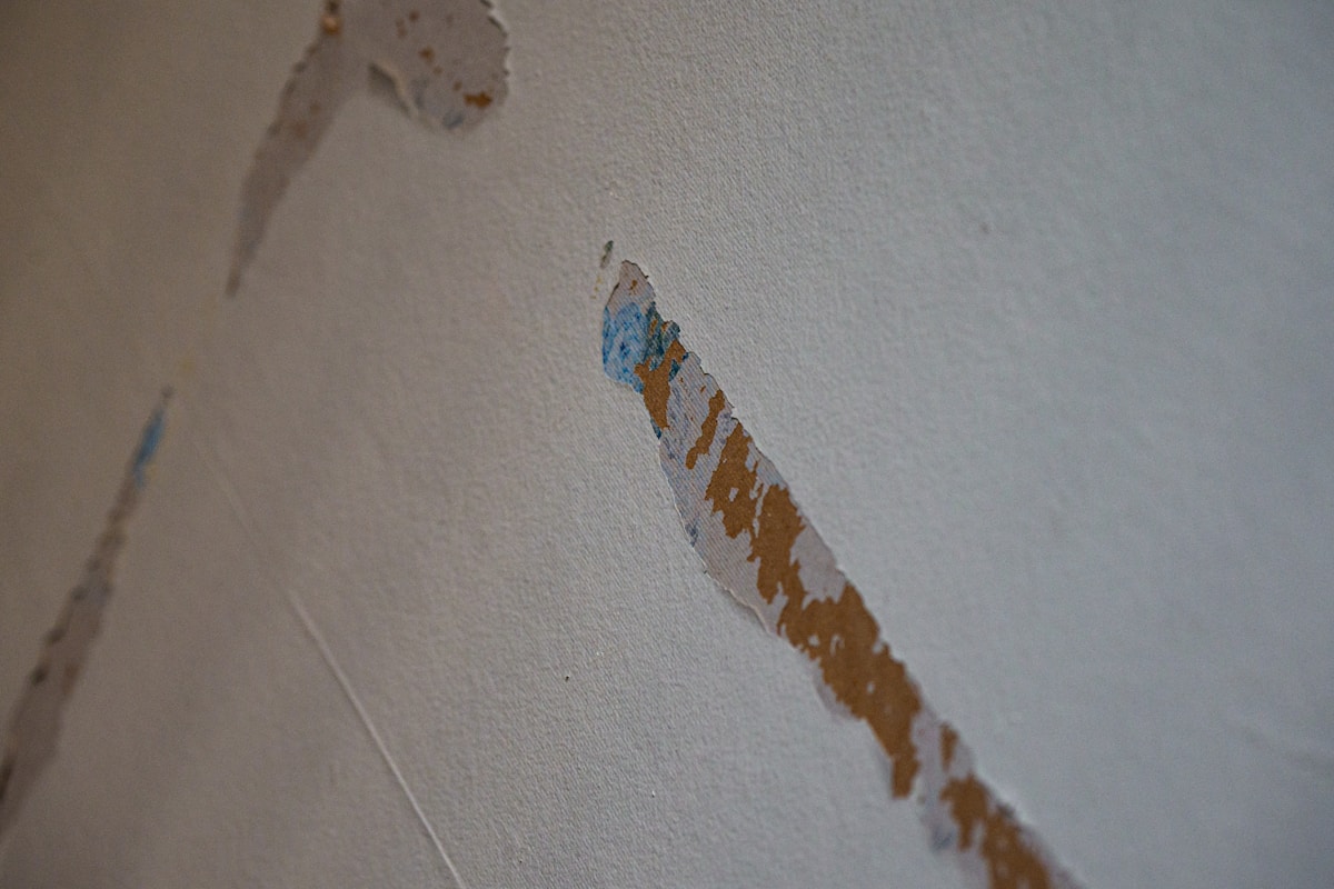 Mold Remediation service in Richmond, CA